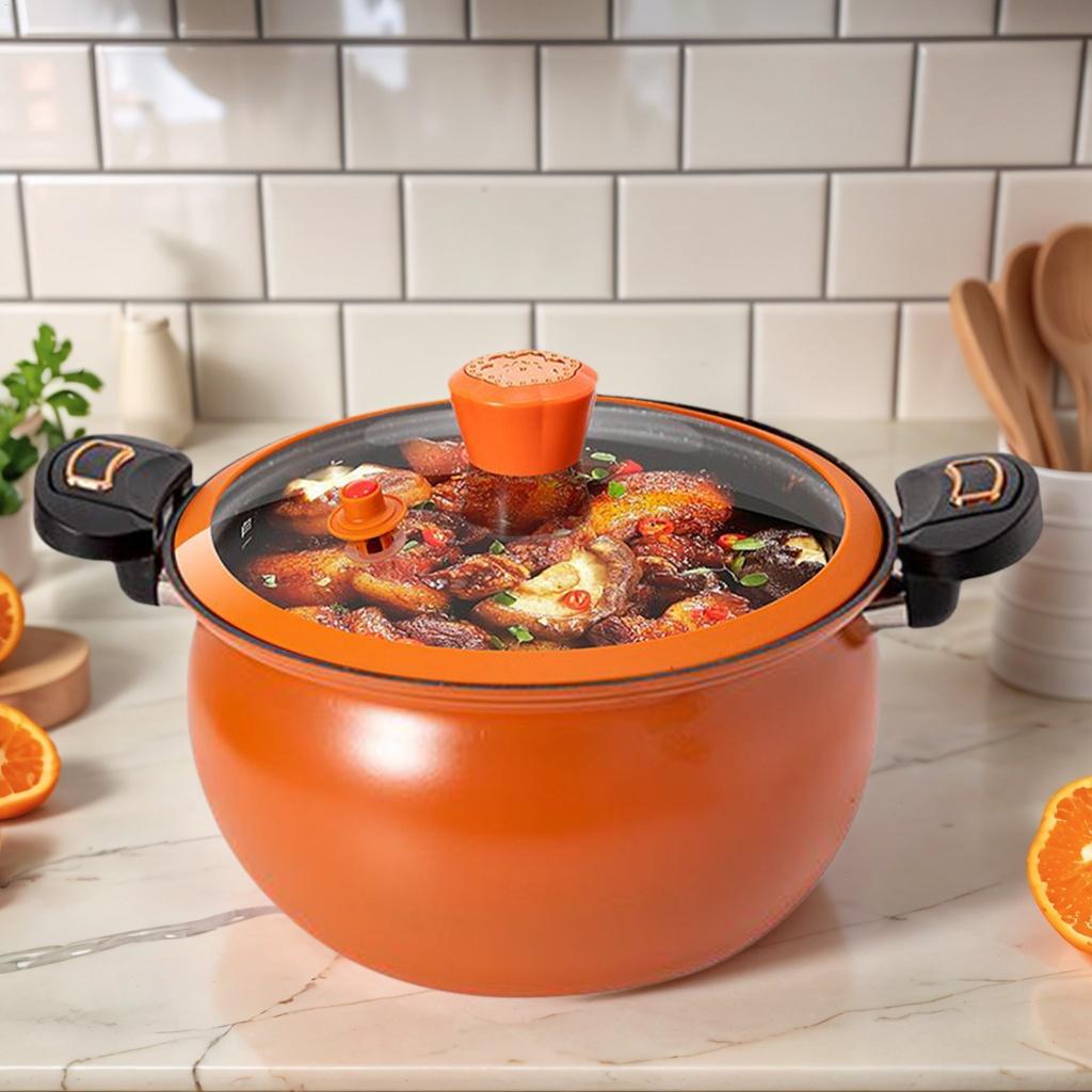 Schnellkochtopf für die Küche  – Home Cooking Fast Foods Bewertung und Preis